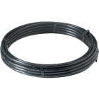 Advanced Drainage Systems 3/4 In. X 100 Ft. IPS HD100 (SIDR-19) NSF Polyethylene Pipe Image 1
