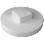 IPEX 6 In. Square Head PVC Sewer and Drain Plug Image 1