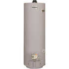 Reliance 40 Gal. Tall 6 Year 32,000 BTU Direct Vent Natural Gas/Liquid Propane Water Heater for Mobile Home Image 1