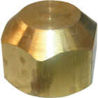 Lasco 1/4 In. Brass Flare Cap Image 1