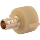 SharkBite 1/2 In. Crimp Fit x 7/8 In. BCT Brass PEX Adapter Image 1