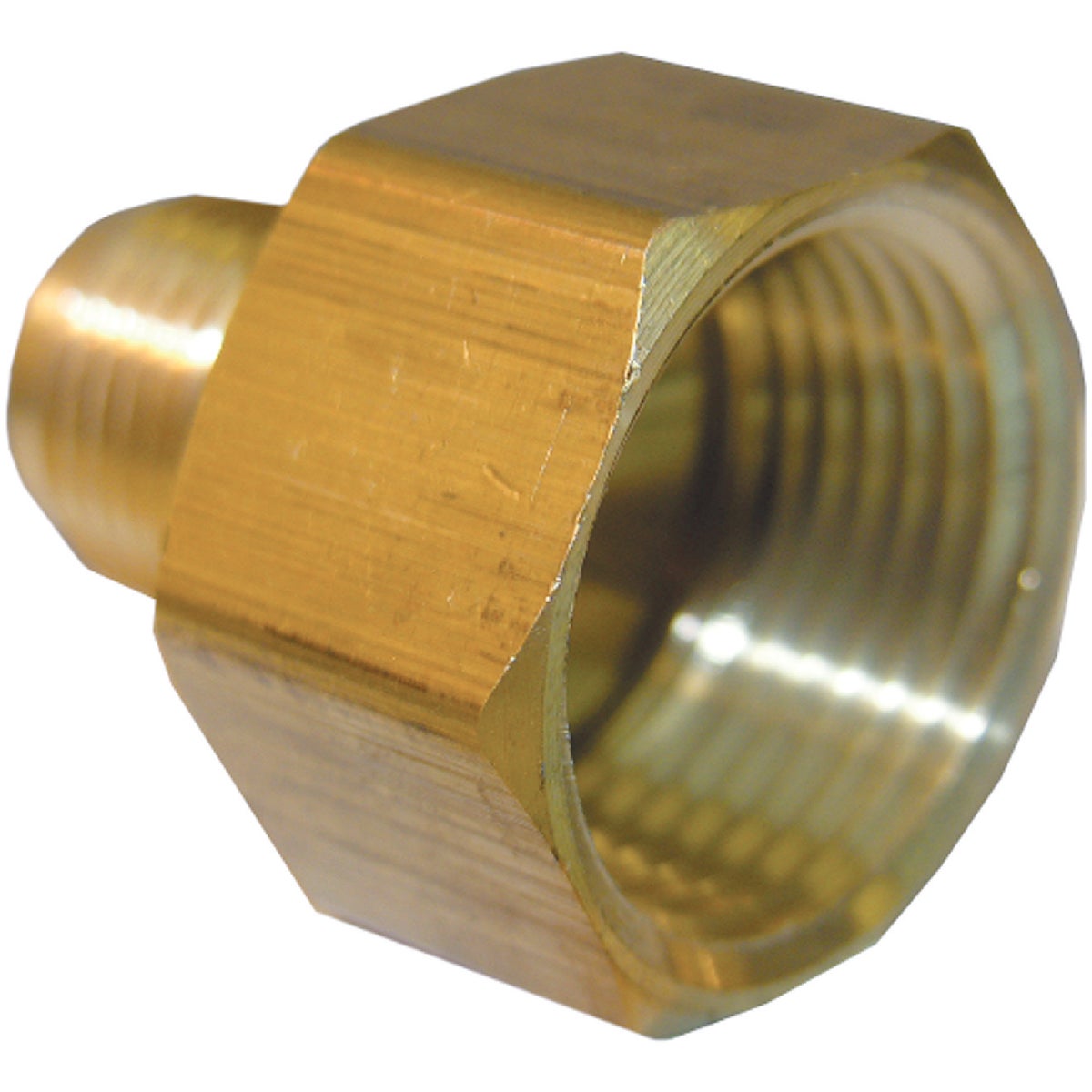 Lasco 3/8 In. M x 3/4 In. FPT Brass Flare Adapter Image 1