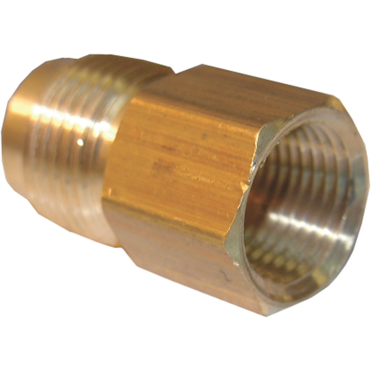Lasco 1/2 In. M x 3/4 In. FPT Brass Flare Adapter Image 1