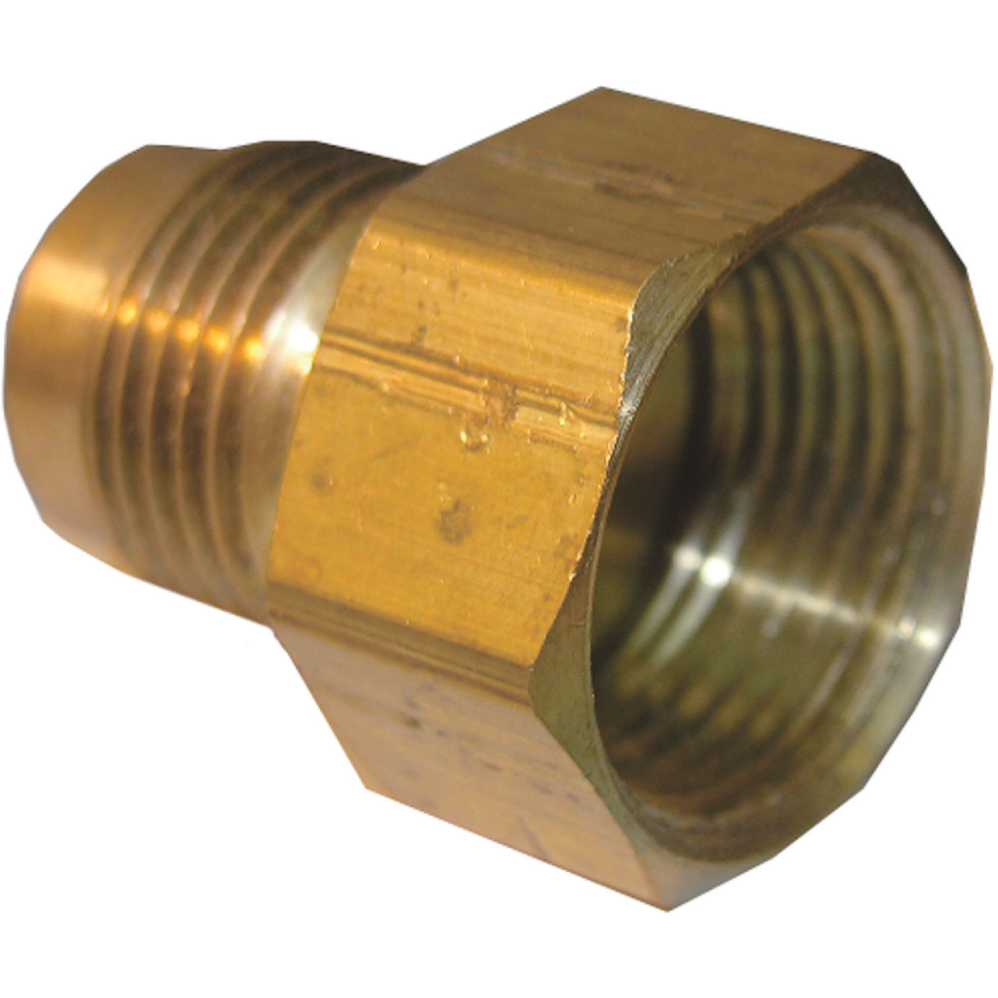 Lasco 5/8 In. M x 3/4 In. FPT Brass Flare Adapter Image 1