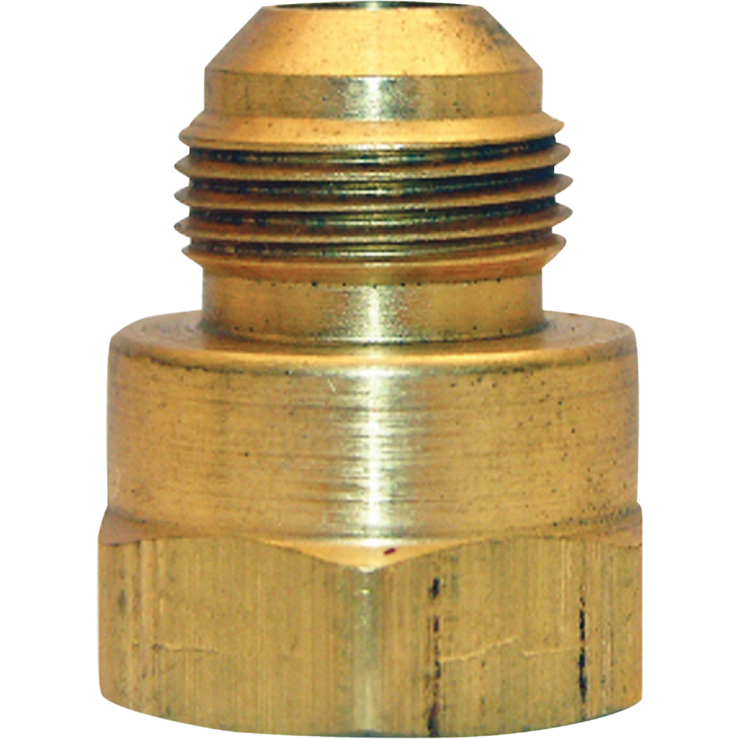 Lasco 15/16 In. M x 1/2 In. FPT Brass Flare Adapter Image 1
