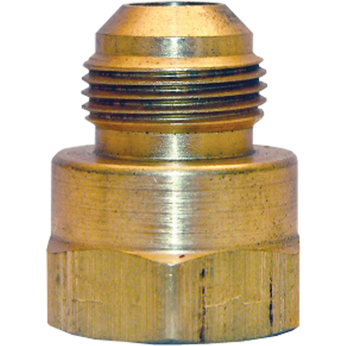 Lasco 15/16 In. M x 3/4 In. FPT Brass Flare Adapter Image 1