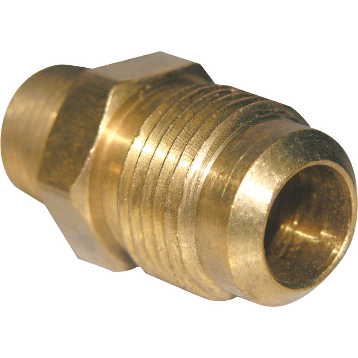 Lasco 5/8 In. M x 1/2 In. MPT Brass Flare Adapter Image 1