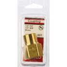 Lasco 1/2 In. FPT x 1/2 In. MPT Brass Adapter Image 2