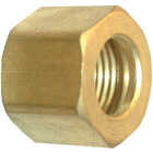 Lasco 3/16 In. Brass Compression Nut (2-Pack) Image 1