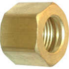 Lasco 1/4 In. Brass Compression Nut (2-Pack) Image 1