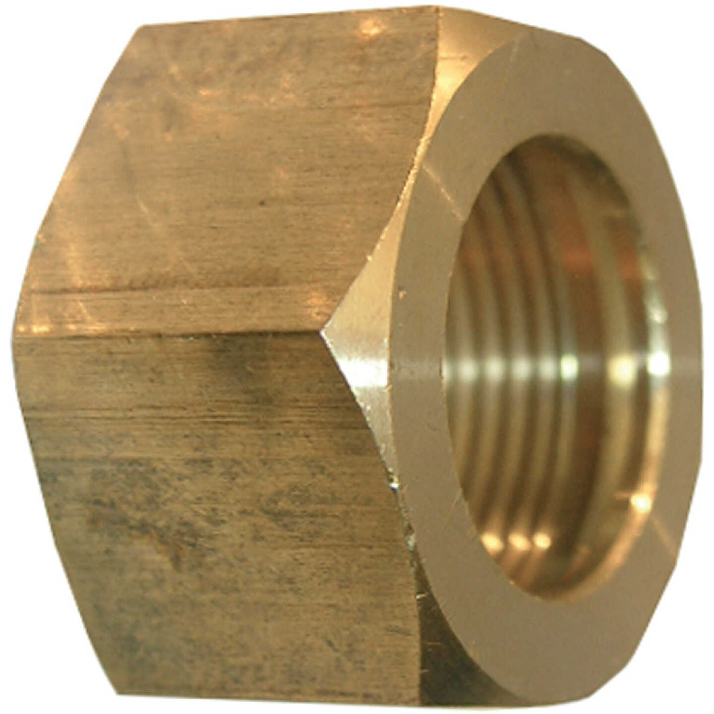 Lasco 5/16 In. Brass Compression Nut (2-Pack) Image 1