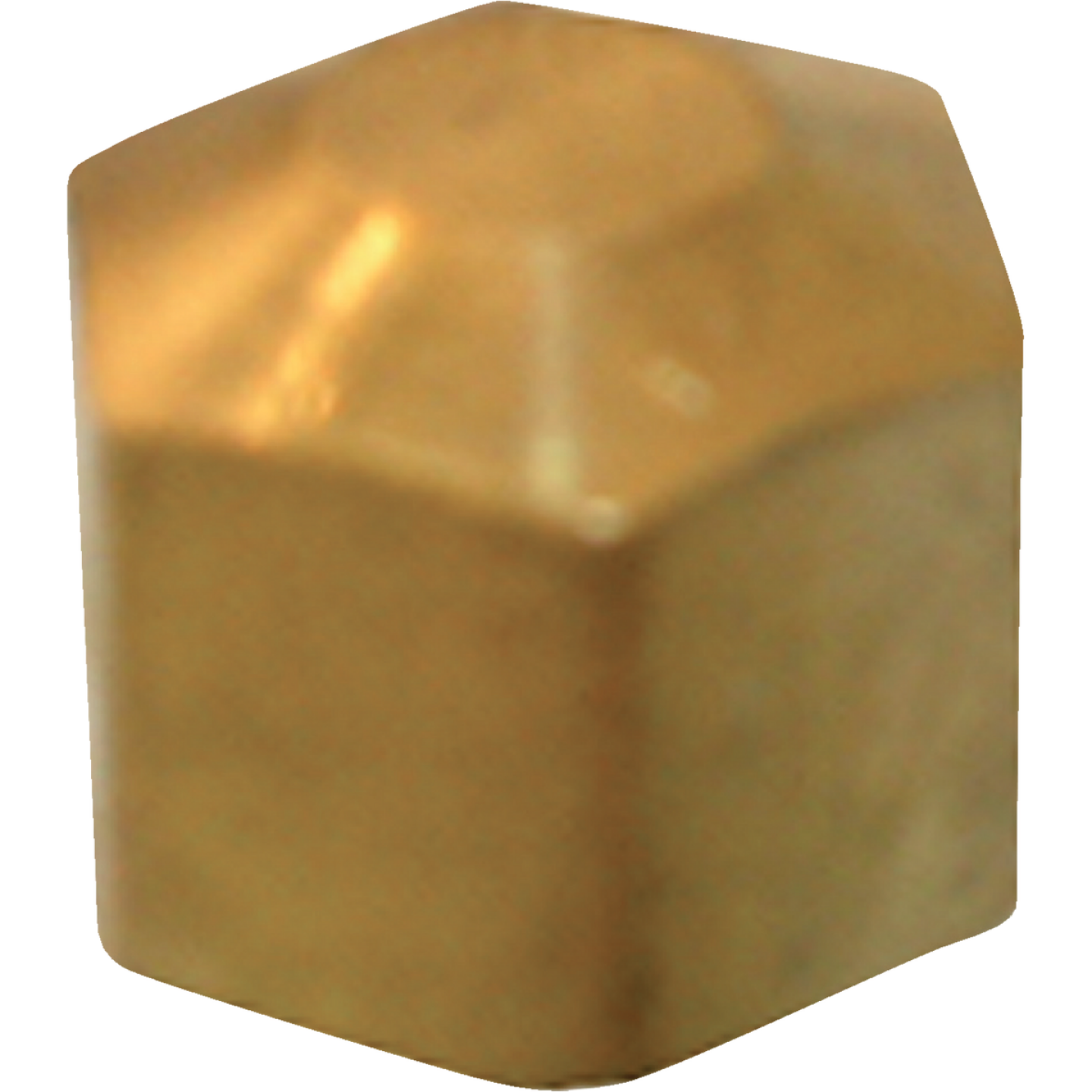 Lasco 3/8 In. Brass Compression Cap Image 1