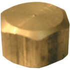 Lasco 5/8 In. Brass Compression Cap Image 1