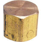 Lasco 1/4 In. Red Brass Threaded Pipe Cap Image 1