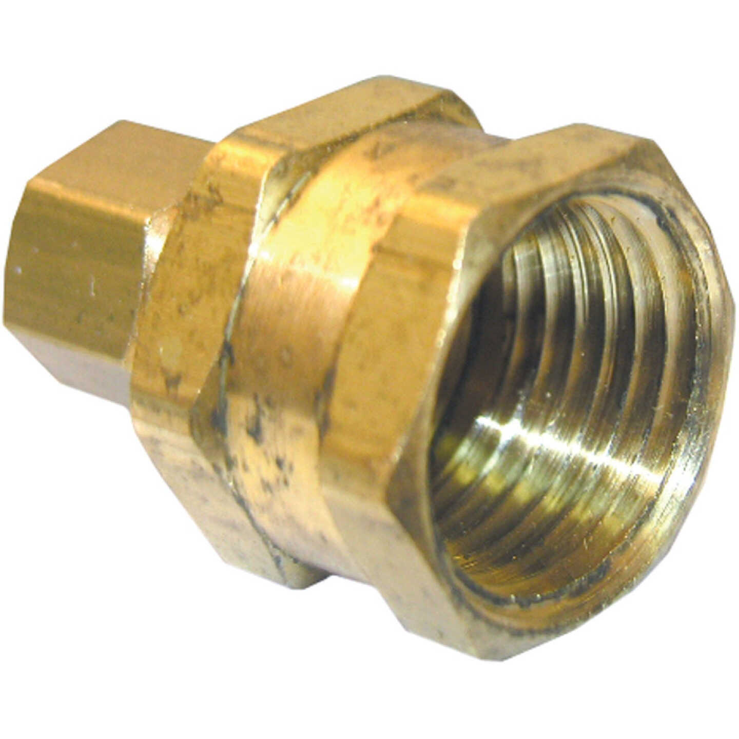 Lasco 1/4 In. C x 1/2 In. FPT Brass Compression Adapter Image 1