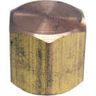 Lasco 1/8 In. Red Brass Threaded Pipe Cap Image 1