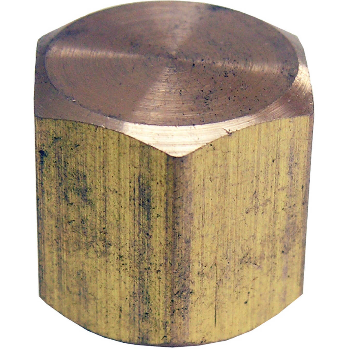 Lasco 1/8 In. Red Brass Threaded Pipe Cap Image 1