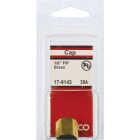 Lasco 1/8 In. Red Brass Threaded Pipe Cap Image 2