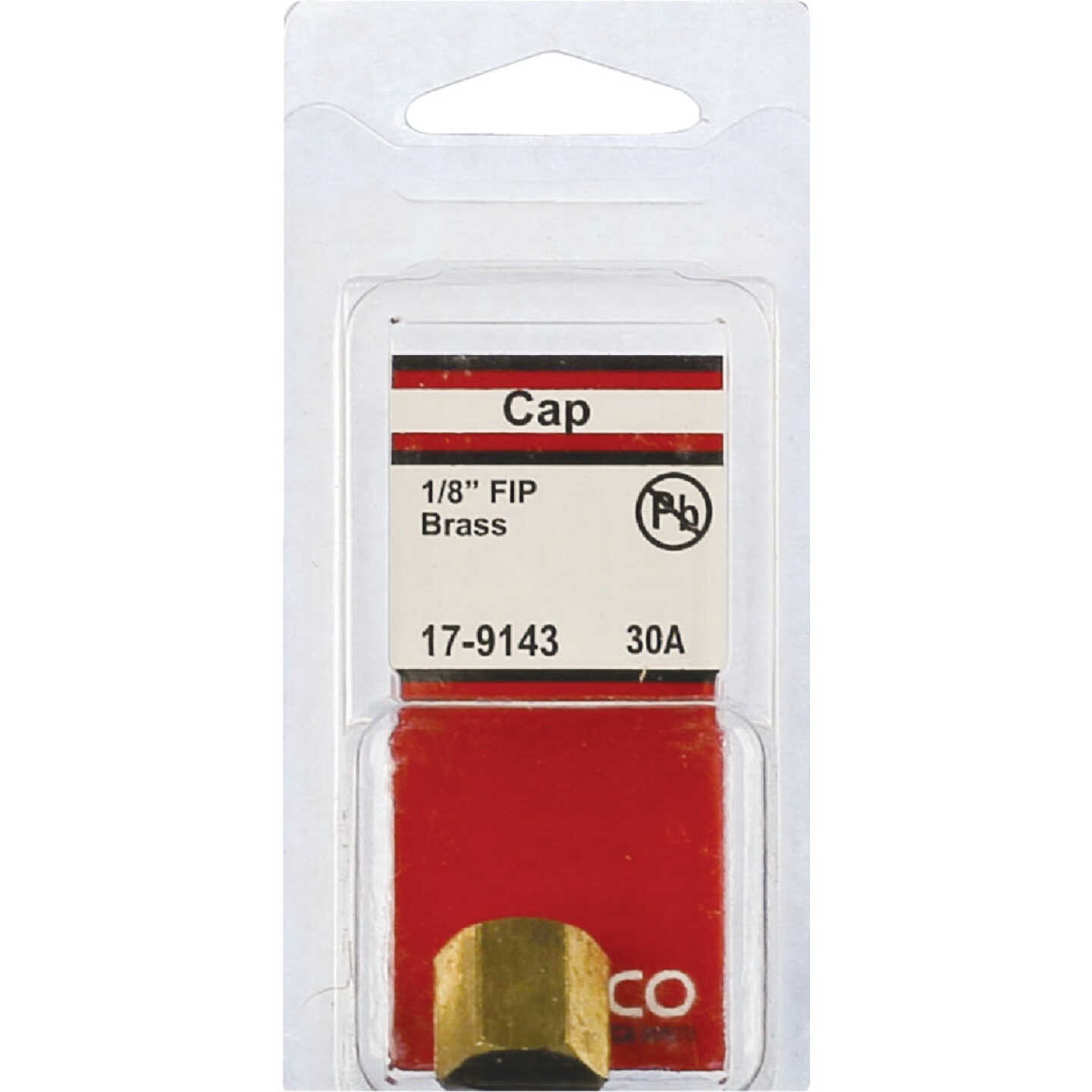 Lasco 1/8 In. Red Brass Threaded Pipe Cap Image 2