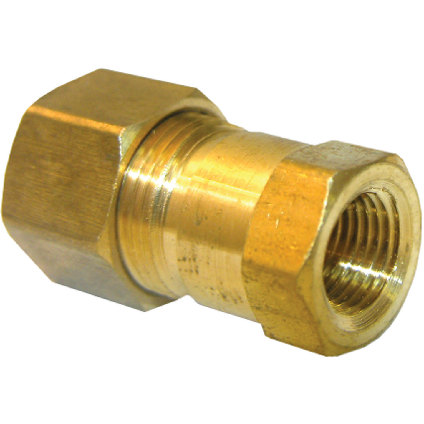 Lasco 3/8 In. C x 1/4 In. FPT Brass Compression Adapter Image 1