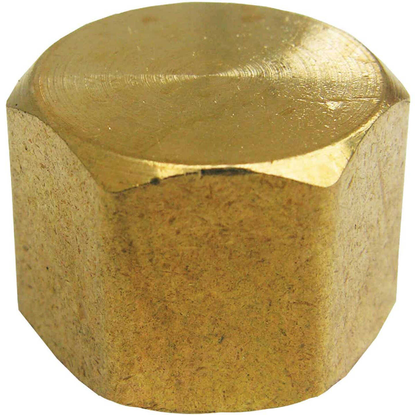 Lasco 3/8 In. Red Brass Threaded Pipe Cap Image 1