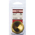 Lasco 3/4 In. Red Brass Threaded Pipe Cap Image 2