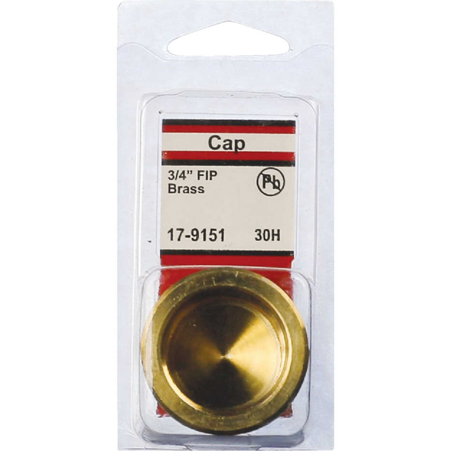 Lasco 3/4 In. Red Brass Threaded Pipe Cap Image 2