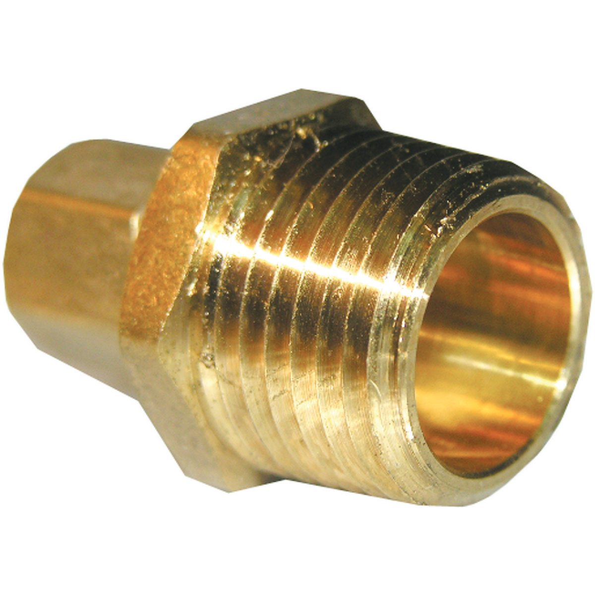 Lasco 5/16 C x 1/4 In. MPT Brass Compression Adapter Image 1