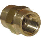 Lasco 1/8 In. FPT x 1/8 In. FPT Yellow Brass Coupling Image 1
