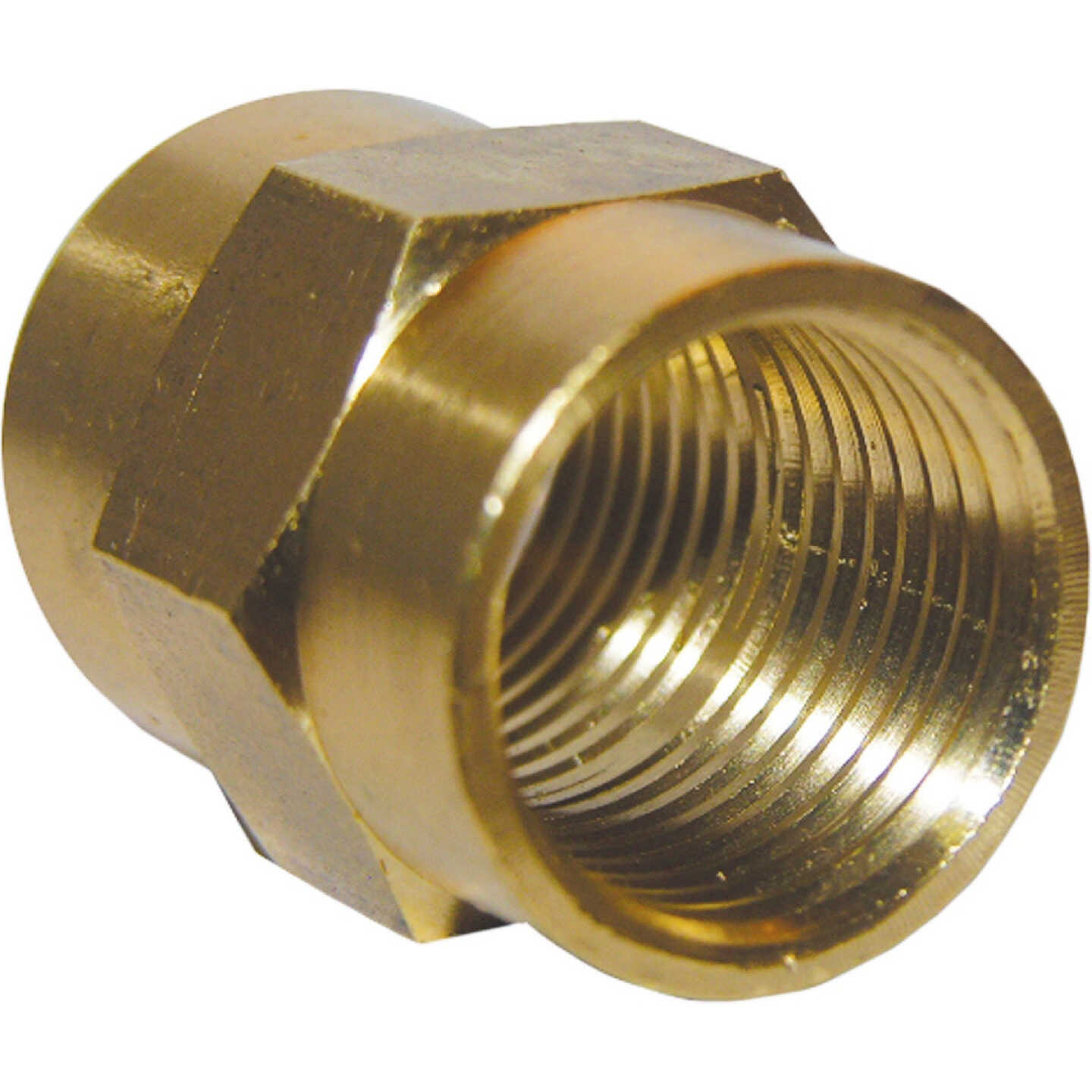 Lasco 3/8 In. FPT x 3/8 In. FPT Yellow Brass Coupling Image 1