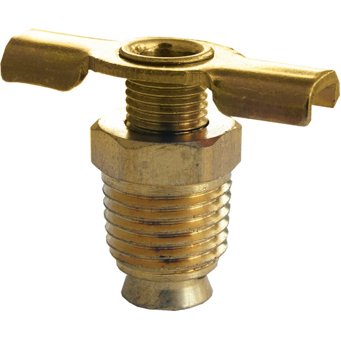 Lasco 1/8 In. MPT Brass 200 psi External Seat Drain Cock Image 1