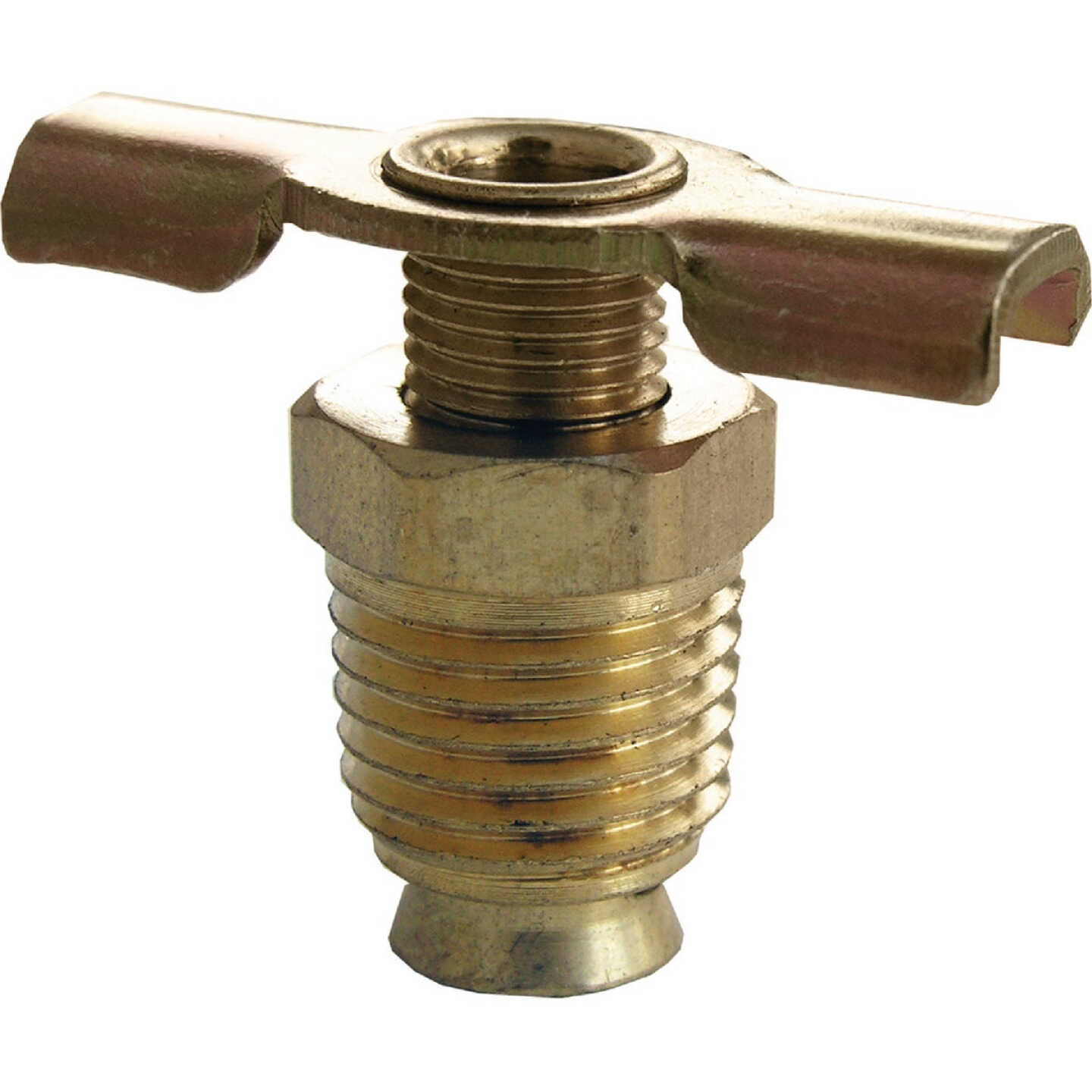 Lasco 1/4 In. MPT Brass 200 psi External Seat Drain Cock Image 1