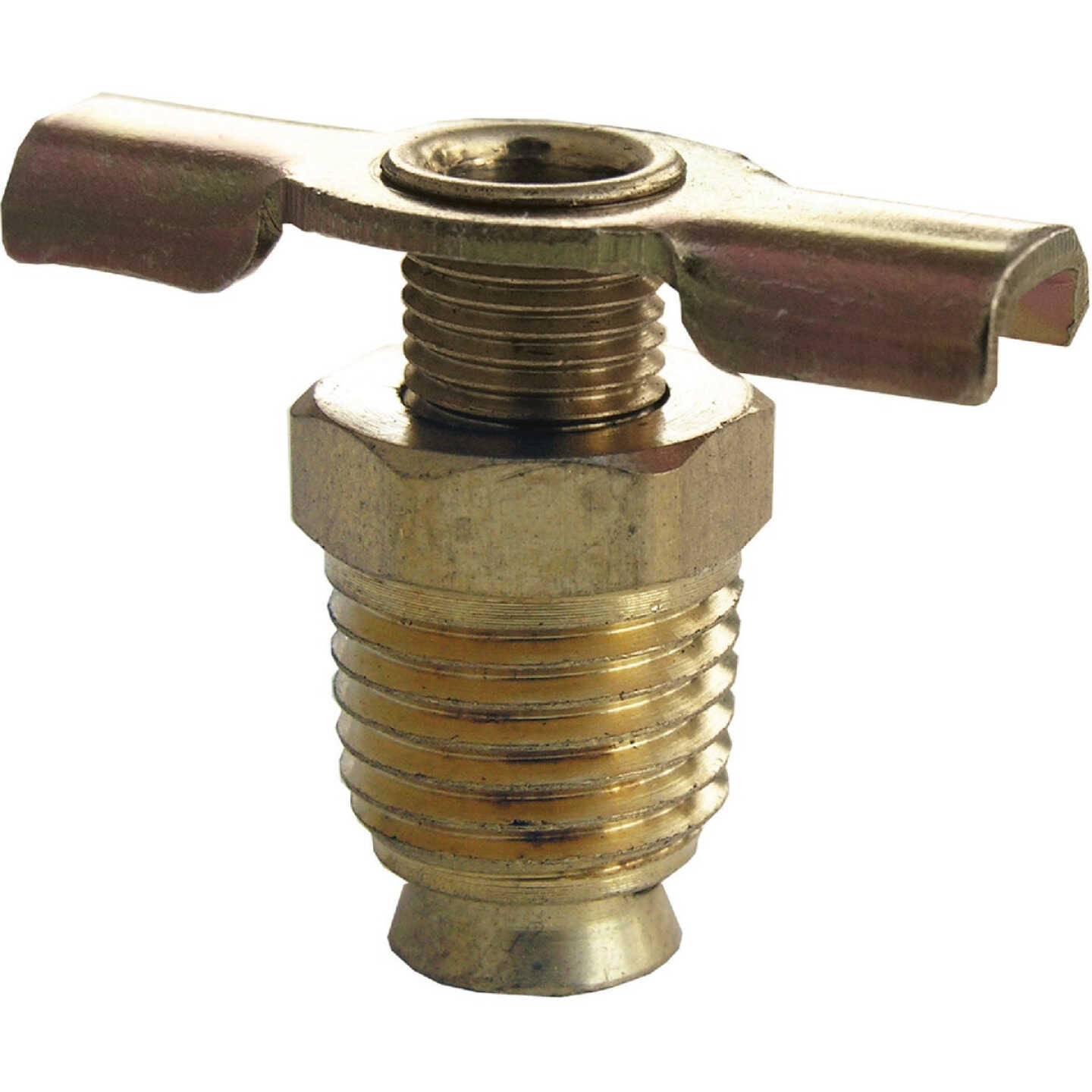 Lasco 3/8 In. MPT Brass 200 psi External Seat Drain Cock Image 1
