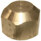 Lasco 1/2 In. Brass Flare Cap Image 1