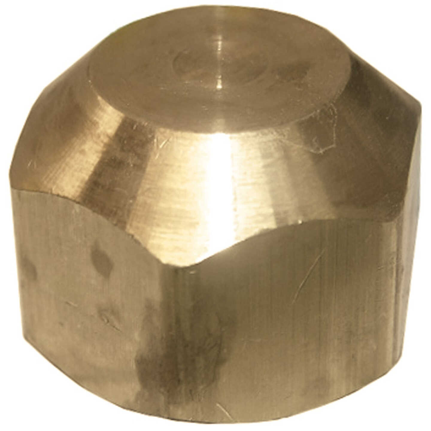 Lasco 1/2 In. Brass Flare Cap Image 1