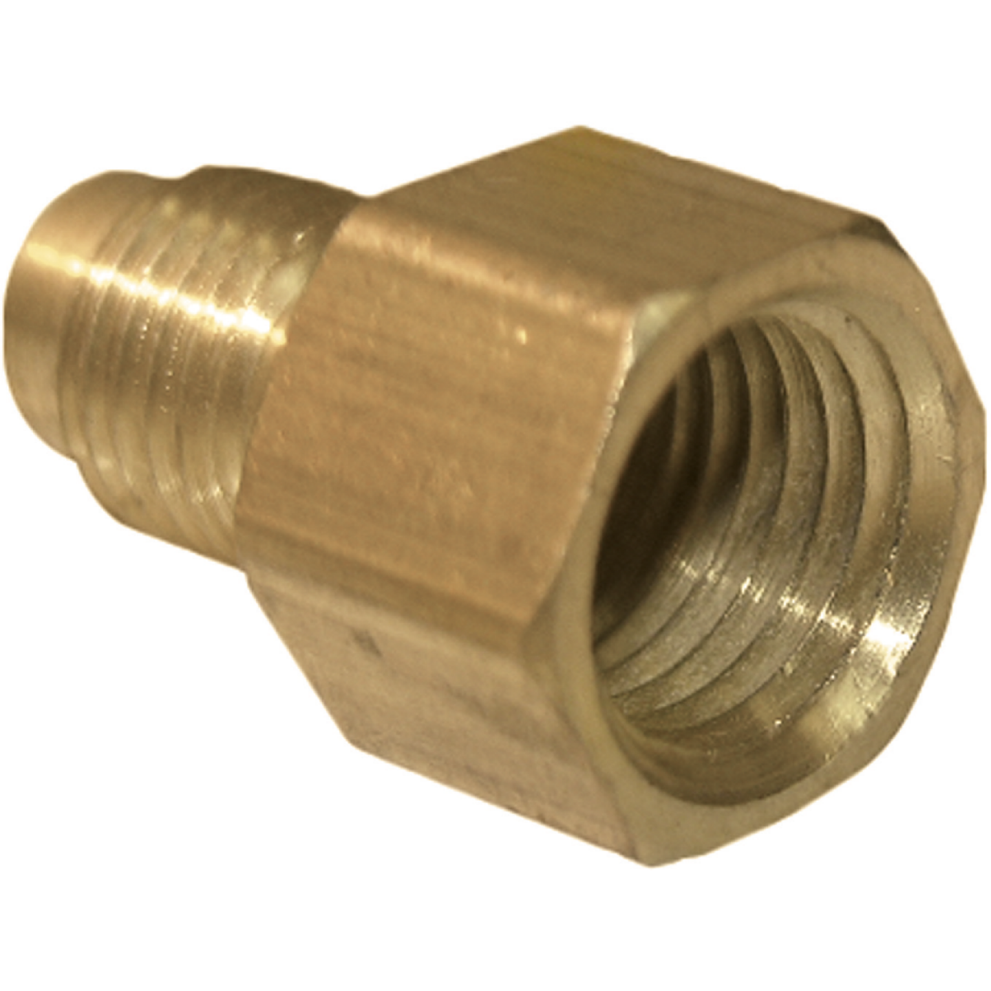 Lasco 1/4 In. M x 1/4 In. FPT Brass Flare Adapter Image 1