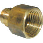 Lasco 3/8 In. M x 3/8 In. FPT Brass Flare Adapter Image 1