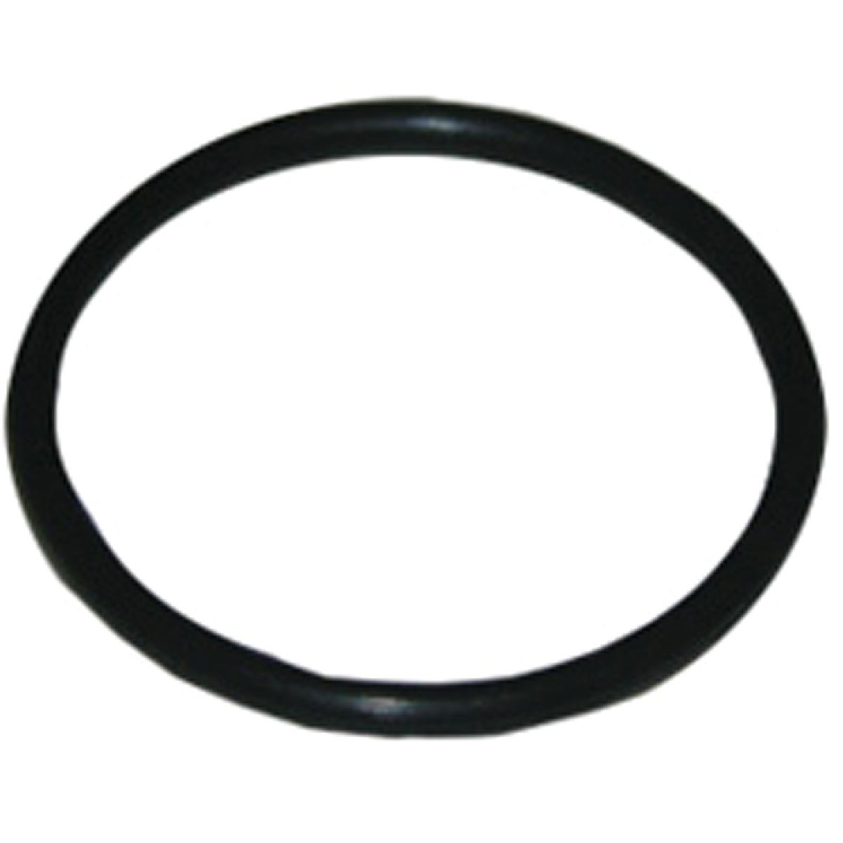 Lasco #46 7/8 In. x 1 In. O-Ring