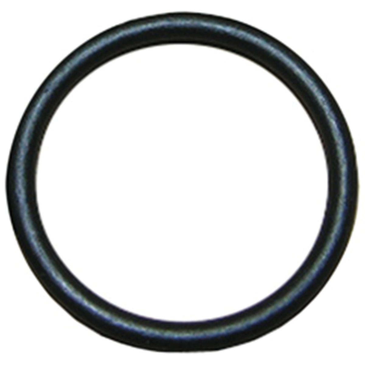 Lasco #44 13/16 In. x 1 In. O-Ring