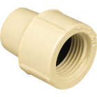 Charlotte Pipe 1/2 In. FIP CPVC Threaded PVC Adapter Image 1