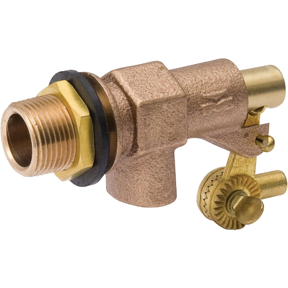 ProLine 1 In. Plain Outlet Float Valve