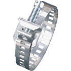 Ideal Lox-On 11/16 In. - 2-5/8 In. Stainless Steel Hose Clamp w/Plated Stainless Steel Screw Image 1