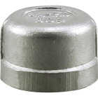 PLUMB-EEZE 1/2 In. FIP Stainless Steel Cap Image 1