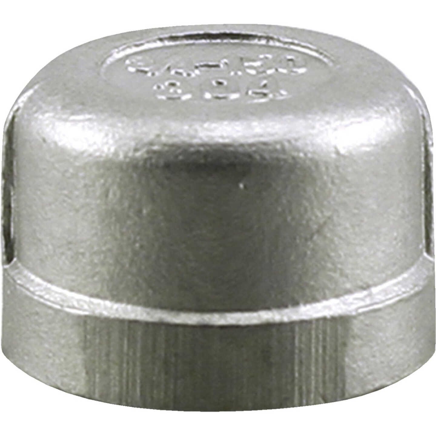 PLUMB-EEZE 1/2 In. FIP Stainless Steel Cap Image 1