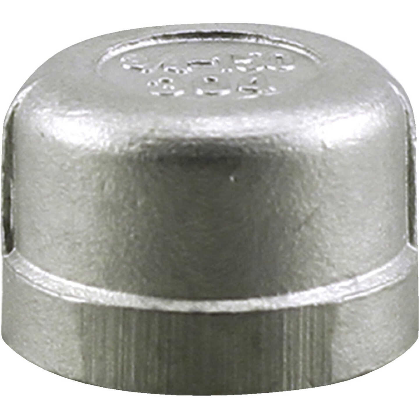 PLUMB-EEZE 1 In. FIP Stainless Steel Cap Image 1