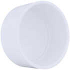 Charlotte Pipe 4 In. Schedule 40 Pressure Slip PVC Cap Image 1