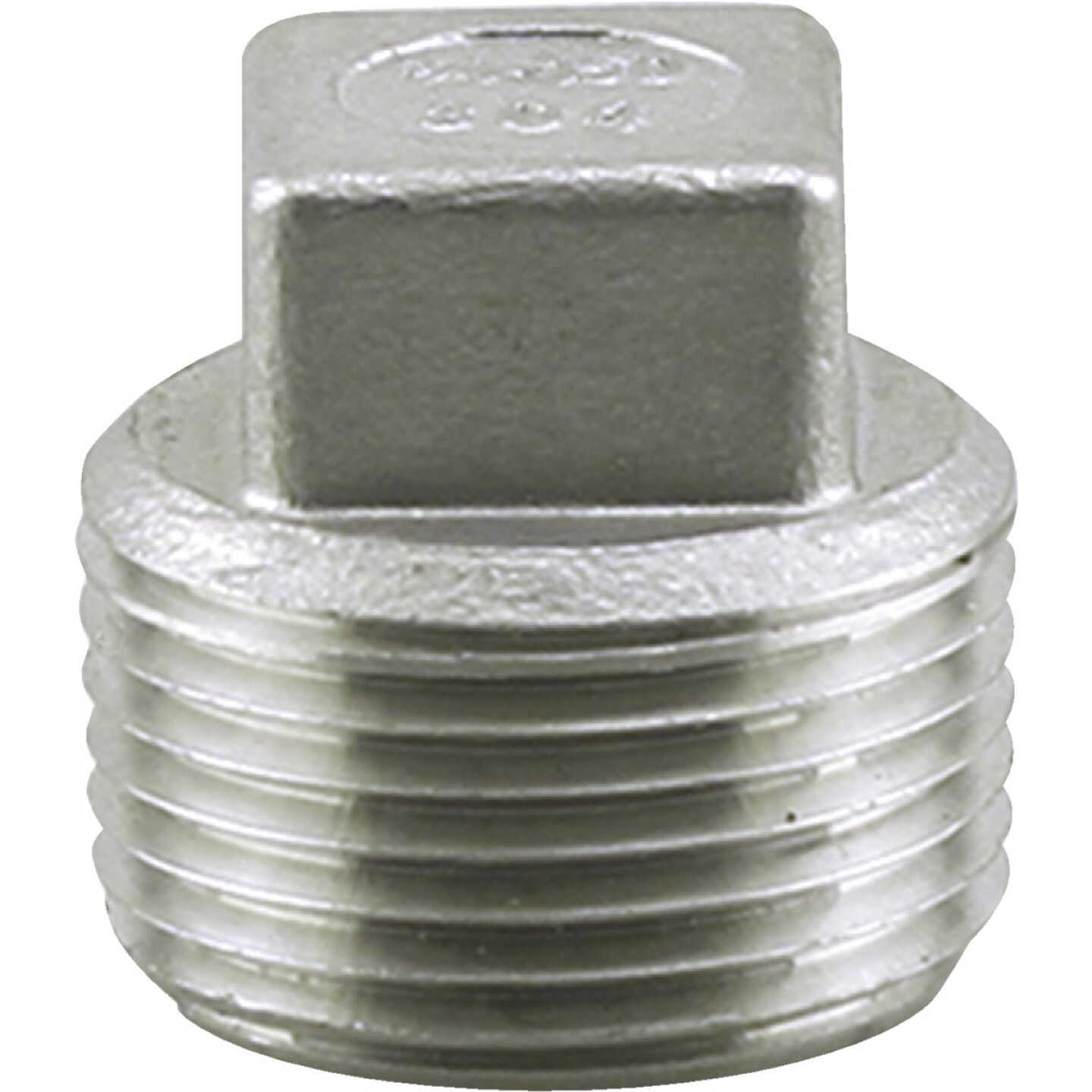 PLUMB-EEZE 1/4 In. MIP Square Head Stainless Steel Plug Image 1