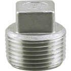 PLUMB-EEZE 1/2 In. MIP Square Head Stainless Steel Plug Image 1