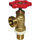 ProLine 1/2 In. MIP x 3/4 In. MHT Boiler Drain Image 1