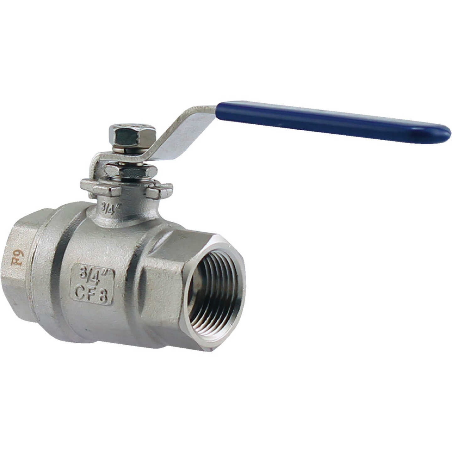 PLUMB-EEZE 3/4 In. FPT Stainless Steel Full Port Ball Valve Image 1